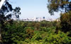 Panoramatic view of Brisbane.