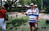 Birds feeding on Magnetic island.